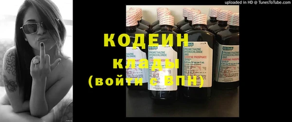 альфа пвп Гусев