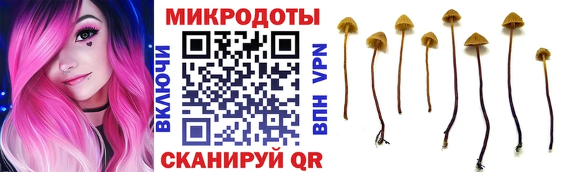 Купить где  Кондрово  Псилоцибиновые грибы ЛСД 